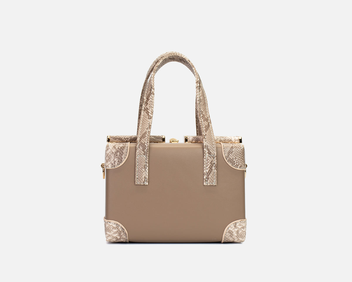 Bolso Cofre