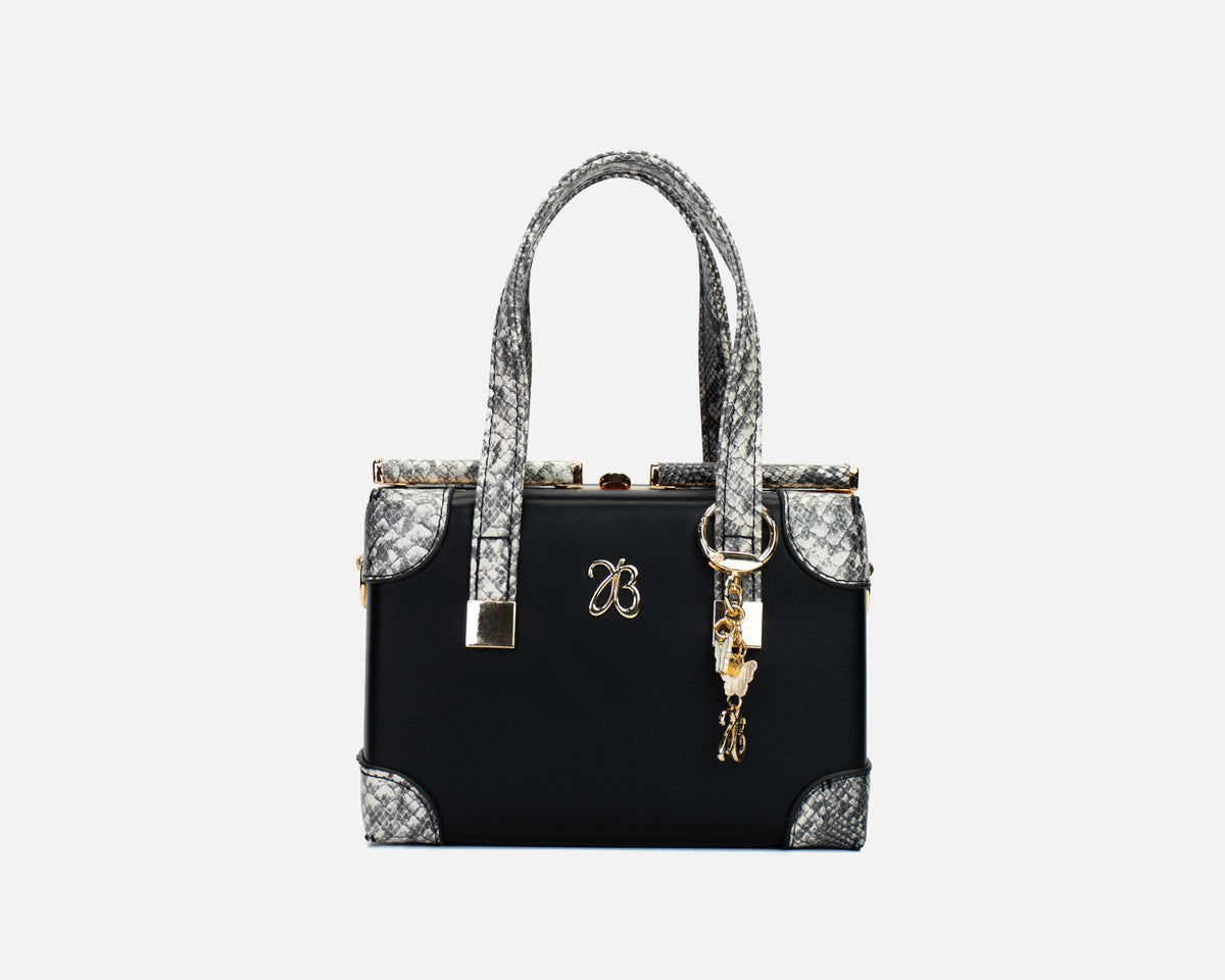 Bolso Cofre