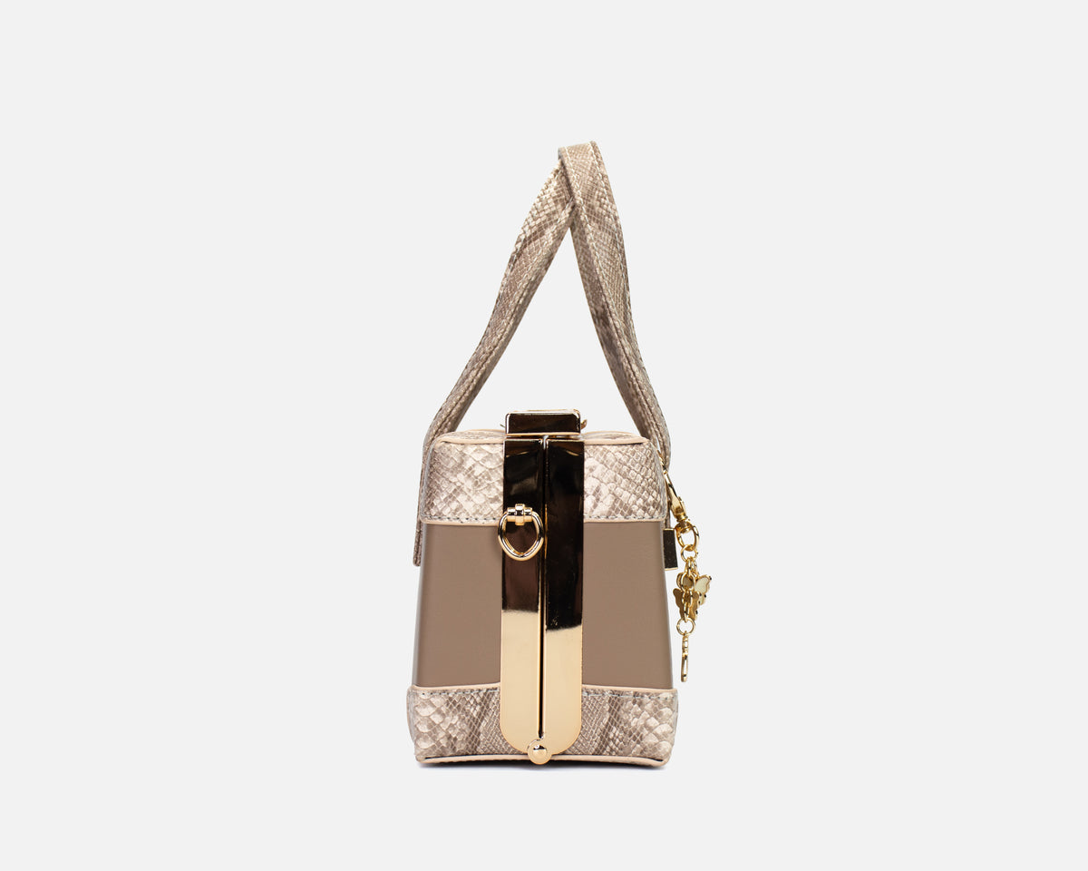 Bolso Cofre