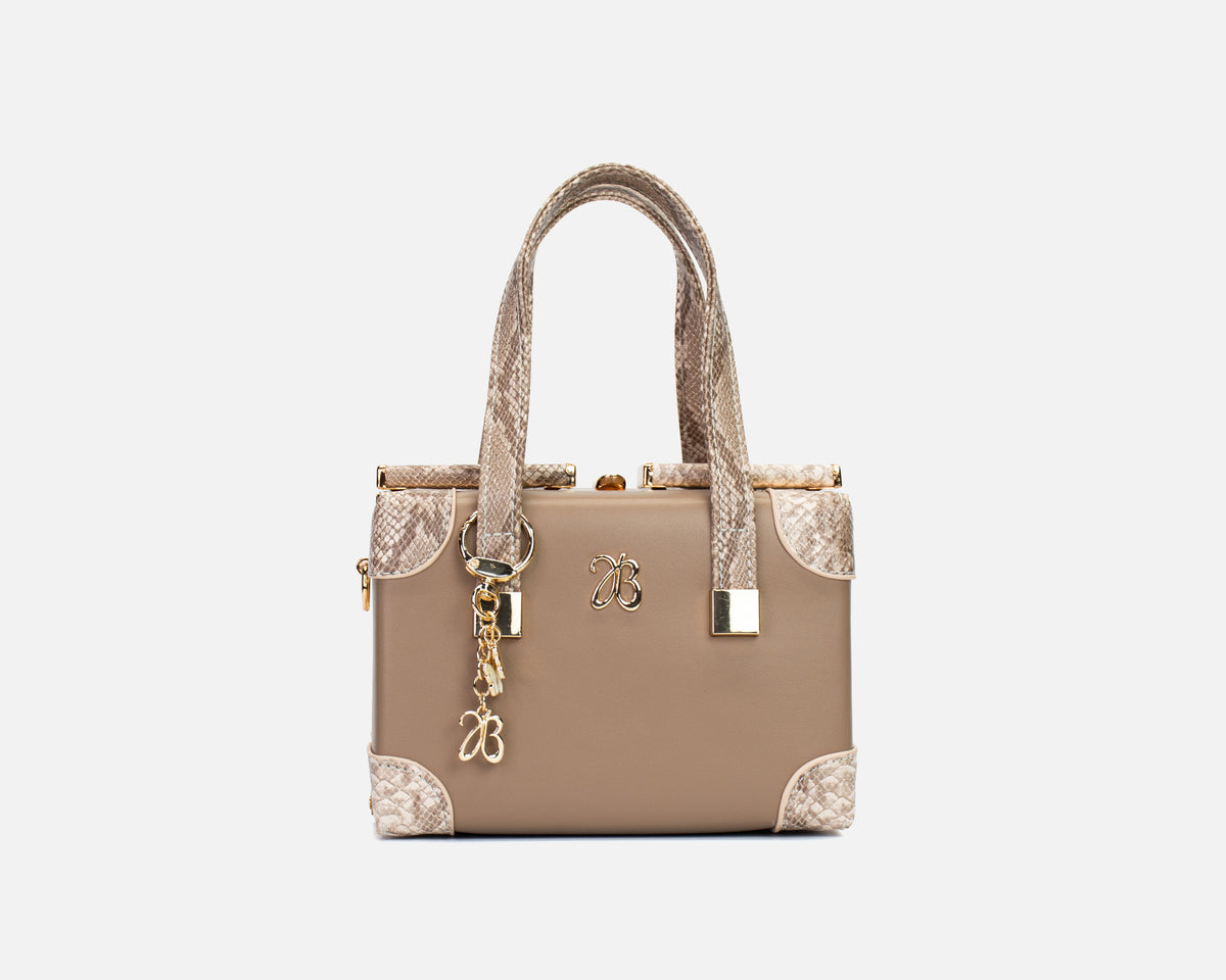 Bolso Cofre