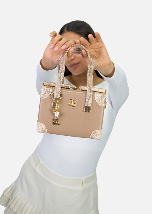 Bolso Cofre